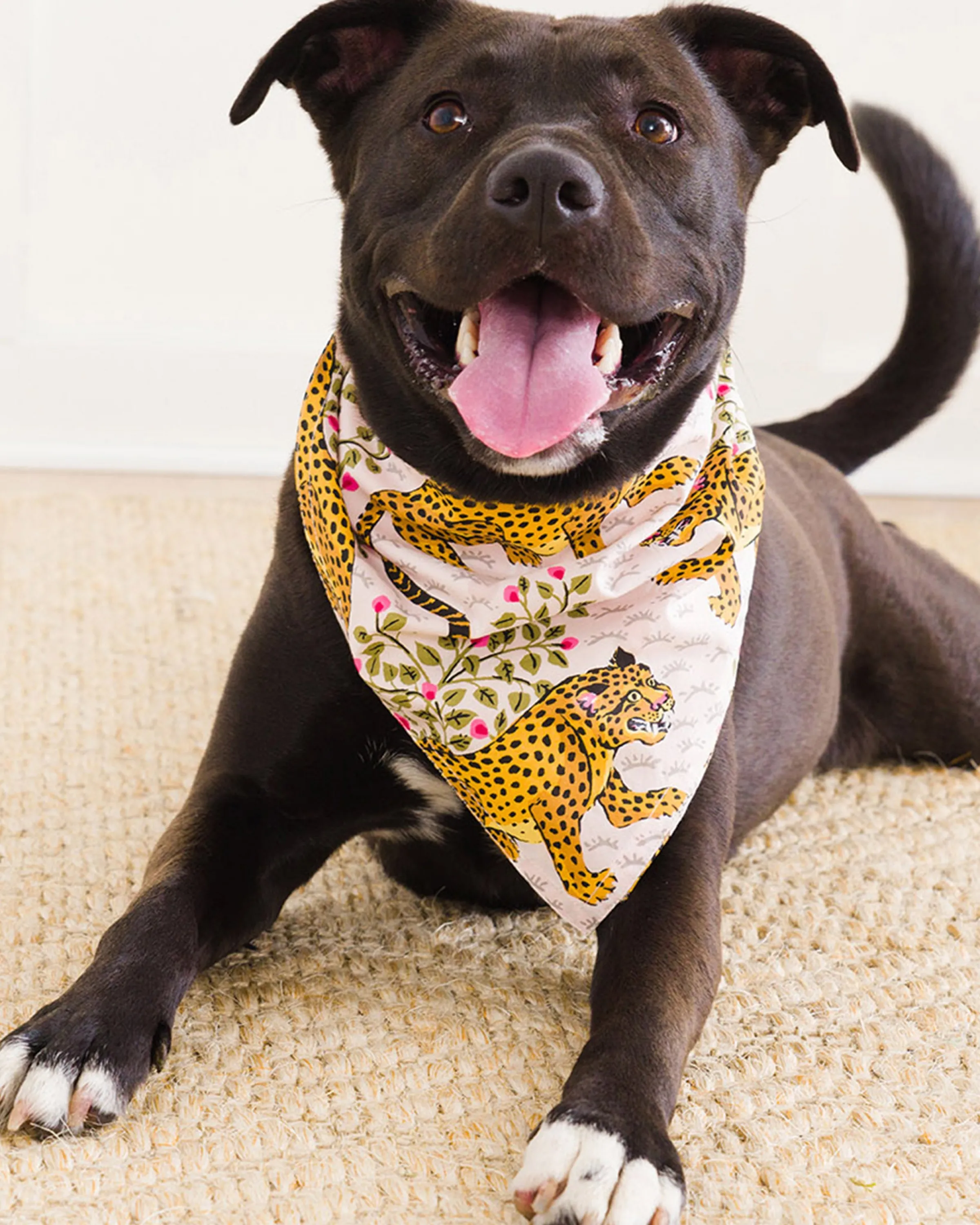 Printfresh Bagheera