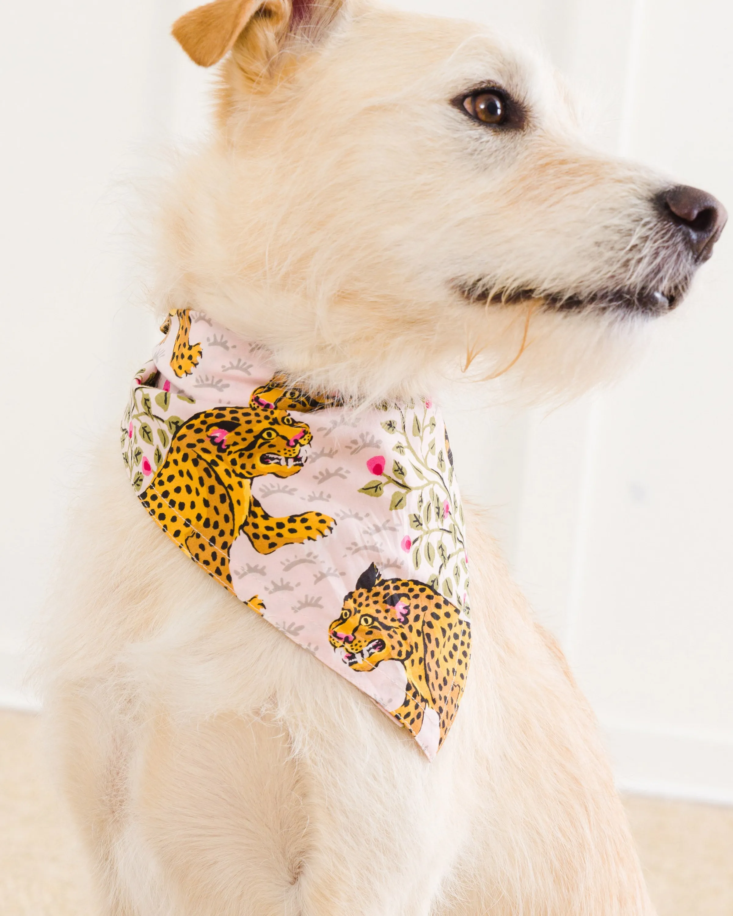 Printfresh Bagheera