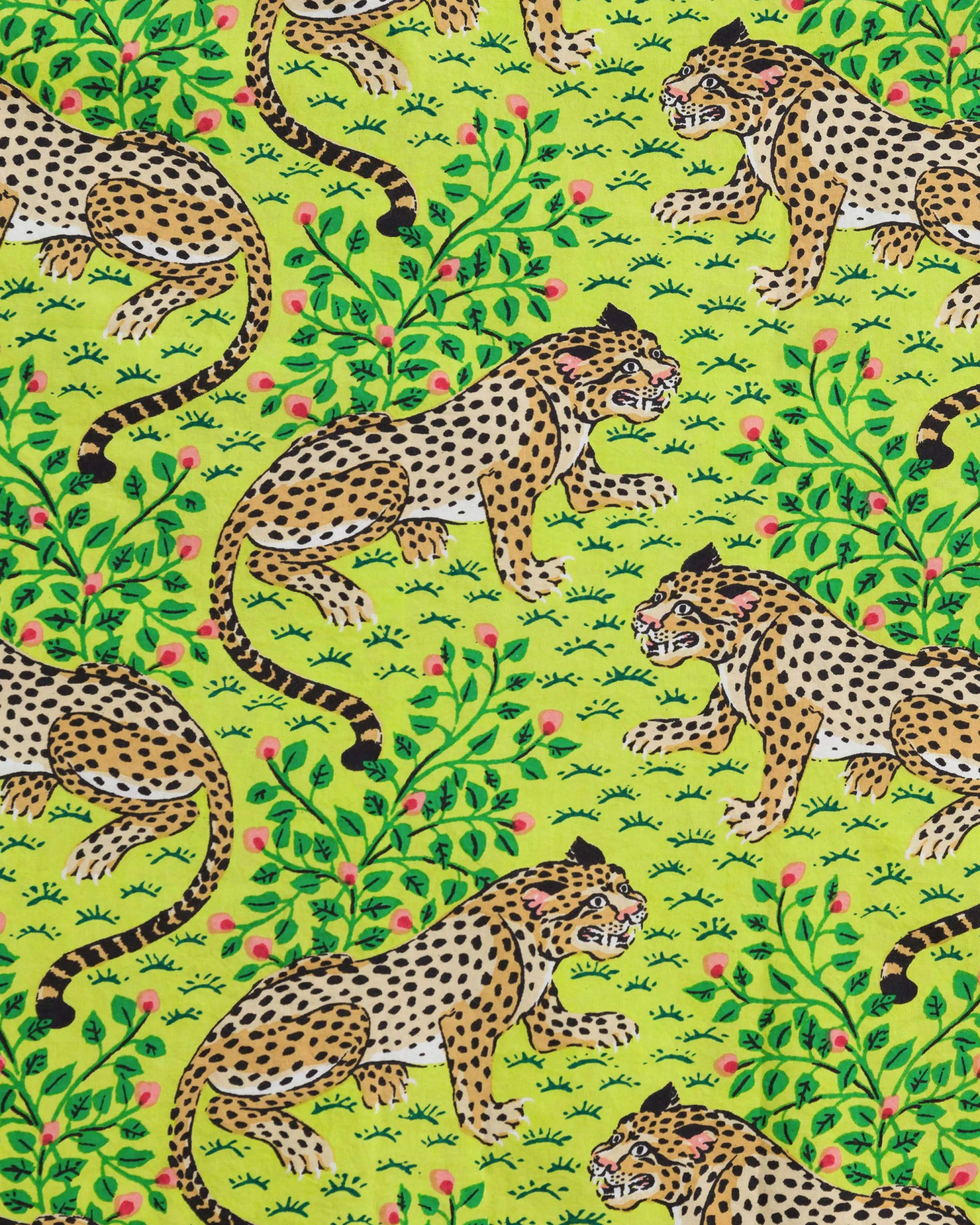 Women Printfresh Bagheera