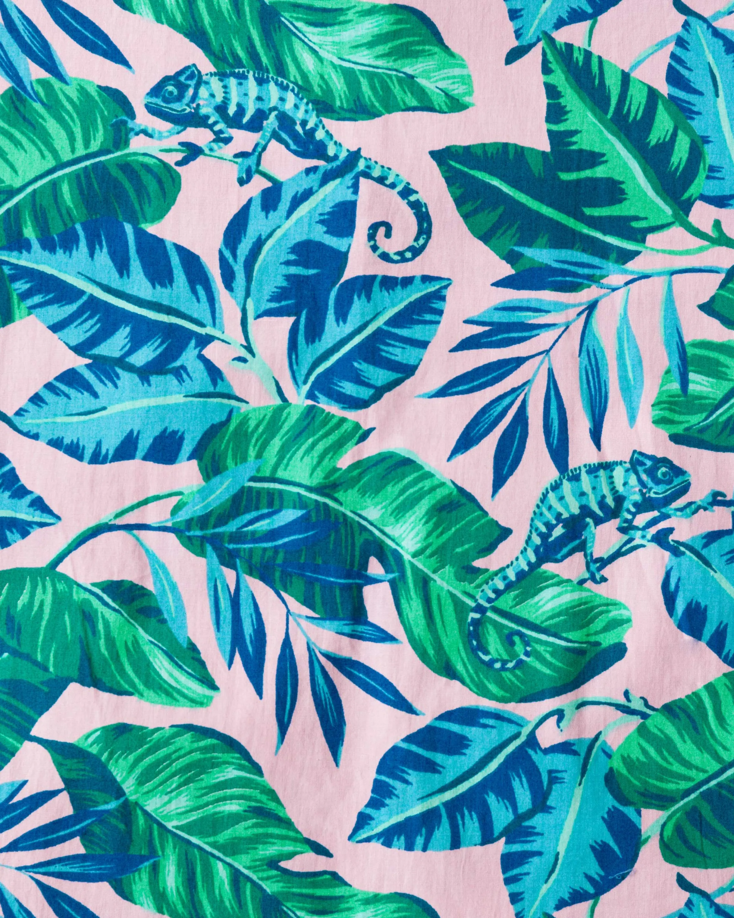 Women Printfresh Karma Chameleon